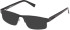 Timberland TB50092 sunglasses in Matte Black