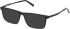 Timberland TB50093-53 sunglasses in Shiny Black
