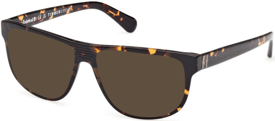 Timberland TB50097 sunglasses in Dark Havana