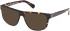 Timberland TB50097 sunglasses in Dark Havana