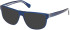 Timberland TB50097 sunglasses in Shiny Blue