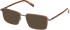 Timberland TB50115 sunglasses in Shiny Dark Bronze