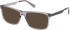 Gant GA3294 sunglasses in Shiny Grey