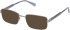 Gant GA50038 sunglasses in Shiny Dark Ruthenium