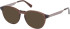 Gant GA50063 sunglasses in Shiny Dark Brown