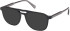 Gant GA50067 sunglasses in Shiny Black