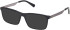 Gant GA50076-54 Ready-Made Reading Sunglasses