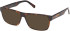 Gant GA50089 Ready-Made Reading Sunglasses