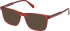 Gant GA50095-53 Ready-Made Reading Sunglasses