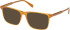 Gant GA50095-55 Ready-Made Reading Sunglasses