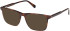 Gant GA50095-55 Ready-Made Reading Sunglasses