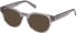 Gant GA50102-49 Ready-Made Reading Sunglasses