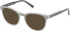 Gant GA50115 Ready-Made Reading Sunglasses