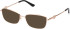 Guess GU2975 Ready-Made Reading Sunglasses