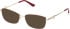 Guess GU2975 Ready-Made Reading Sunglasses