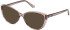 Guess GU2978 Ready-Made Reading Sunglasses