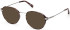 Guess GU50079 Ready-Made Reading Sunglasses