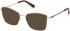 Guess GU50170-56 Ready-Made Reading Sunglasses