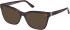 Guess GU50172-55 Ready-Made Reading Sunglasses