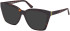 Guess GU50173 Ready-Made Reading Sunglasses