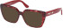 Guess GU50174 Ready-Made Reading Sunglasses