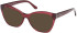 Guess GU50177-56 Ready-Made Reading Sunglasses