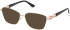 Guess GU50179-57 Ready-Made Reading Sunglasses