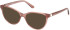 Guess GU50195 Ready-Made Reading Sunglasses