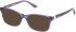 Guess GU50196 Ready-Made Reading Sunglasses