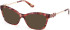 Guess GU50231 Ready-Made Reading Sunglasses
