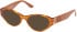 Guess GU50305 Ready-Made Reading Sunglasses