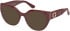 Guess GU50306 Ready-Made Reading Sunglasses