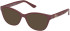 Guess GU50307-53 Ready-Made Reading Sunglasses
