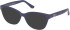 Guess GU50307-55 Ready-Made Reading Sunglasses