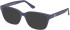 Guess GU50308-53 Ready-Made Reading Sunglasses