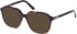 Guess GU50309 Ready-Made Reading Sunglasses