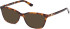 Guess GU50310-50 Ready-Made Reading Sunglasses (Small)