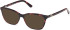 Guess GU50310-50 Ready-Made Reading Sunglasses (Small)