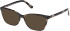 Guess GU50310-52 Ready-Made Reading Sunglasses