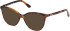Guess GU50311-53 Ready-Made Reading Sunglasses