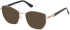 Guess GU50312-54 Ready-Made Reading Sunglasses