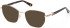 Guess GU50312-54 Ready-Made Reading Sunglasses