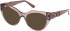Guess GU50323 Ready-Made Reading Sunglasses