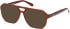 Guess GU50327 Ready-Made Reading Sunglasses
