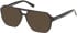 Guess GU50327 Ready-Made Reading Sunglasses