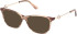 Guess GU50349-52 Ready-Made Reading Sunglasses