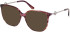 Guess GU50350 Ready-Made Reading Sunglasses