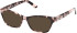 Guess GU50353-53 Ready-Made Reading Sunglasses