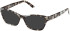 Guess GU50353-53 Ready-Made Reading Sunglasses