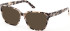 Guess GU50354-55 Ready-Made Reading Sunglasses